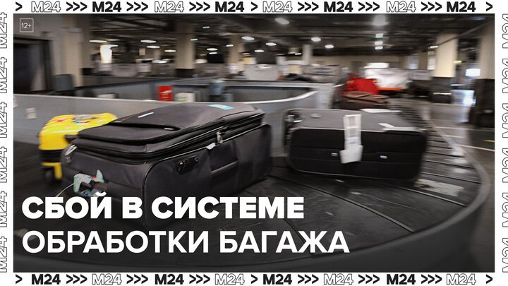 Сбой в системе обработки багажа произошел в аэропорту Внуково - Москва 24