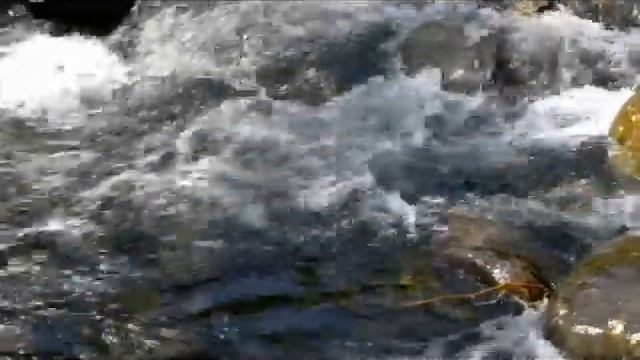 Музыка для релаксации смотреть онлайн