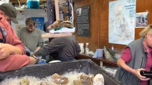 Borough Market London | London Walking Tour | Busy Borough Market | London Street Food [4k HDR]