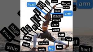 Части тела на английском языке 
Parts of the body in English