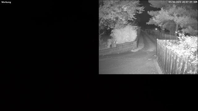 Intelligente 360 Grad / Zoom Überwachungskamera - Reolink RLC 523WA im ausführlichen Test смотреть онлайн