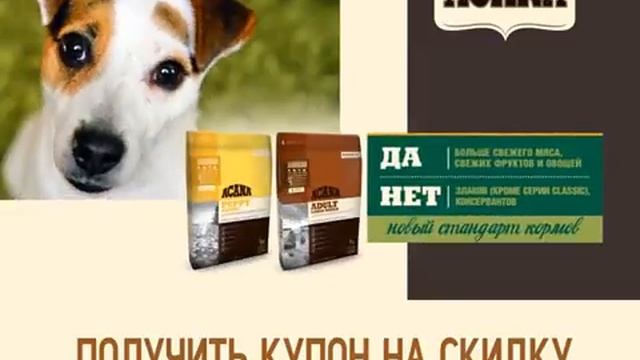 Ваша собака - плотоядное животное, нуждающееся в специальном, богатом мясом рационе питания
