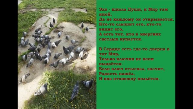 Стихи.  Отчего...