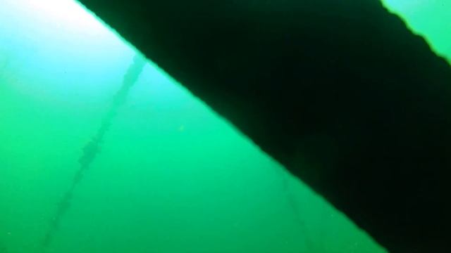 Дайвинг Крым Черноморское Озеро Донузлав! смотреть онлайн