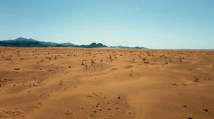 Sahara. Руслан Зайнуллин.mp4