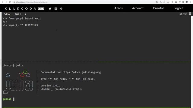Python (gmpy) vs Julia смотреть онлайн