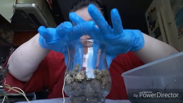 Опять - 25. Мини Марк опять болеет. смотреть онлайн