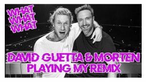 David Guetta & MORTEN - You Can't Change Me (feat. Raye) (AMSTYZA Remix)