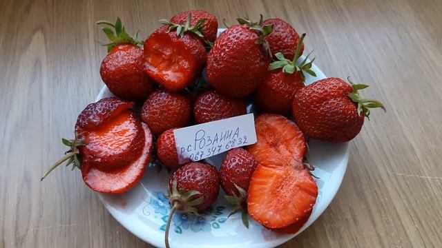 обзор ранних сортов клубники Розанна, Русановка, Пегас Хитрук Елена
