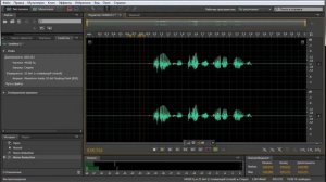 Хороший звук микрофона//(ノ◕ヮ◕)ノ*:・゚✧