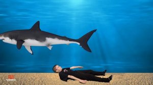 Level Up 3! (Video Game Workout For Kids)