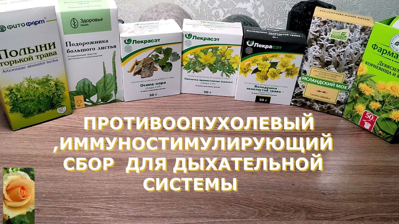 ПРОТИВООПУХОЛЕВЫЙ, ИММУНОСТИМУЛИРУЮЩИЙ, ОЧИЩАЮЩИЙ СБОР  ДЛЯ ДЫХАТЕЛЬНОЙ СИСТЕМЫ