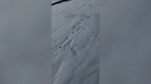 Волэнды и гибриды. Сверхспособности и уникальность.