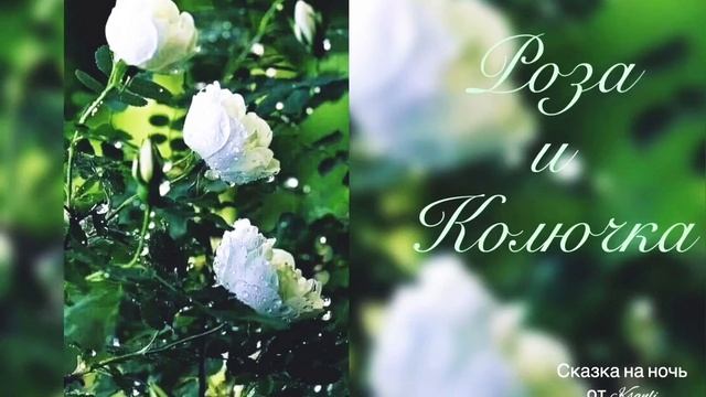 Сказка на ночь от Ksanli (37)... РОЗА и КОЛЮЧКА смотреть онлайн