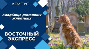 Кладбище домашних животных появится в Улан-Удэ