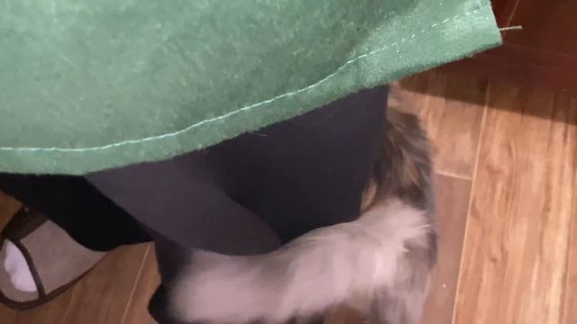 Сегодня готовим Суп с фасолью! смотреть онлайн