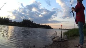 РЫБАЛКА НА ДОНКИ НА РЕКЕ. МОЙ личный РЕКОРД.Russian fishing