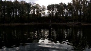 Рыбалка Мыски.  На щучьем озере. Щука заставила залезть на дерево.