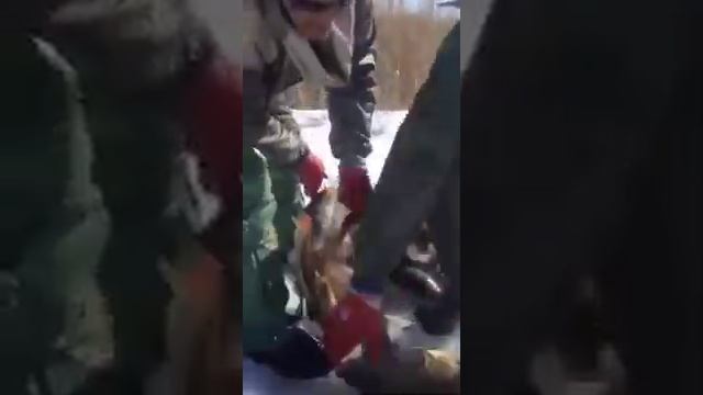 Браконьеры на сеть ловят тонну рыбы? смотреть онлайн