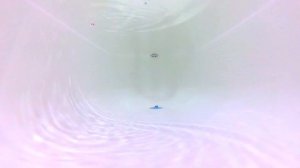 Новинка 🔥 Воблер Копия FISHYCAT JUNGLECAT 140 от BEARKING с АлиЭкспресс  |  Обзор, тест