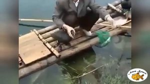 Как в Азии ловят рыбу с помощью птиц