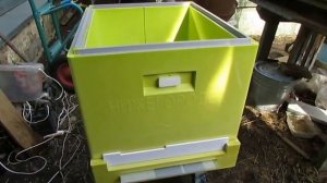 улей Нижегородец на пасеке в Подмосковье - за и против