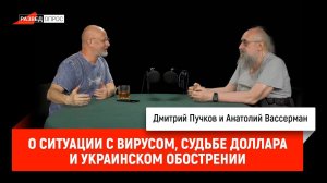 Анатолий Вассерман о ситуации с вирусом, судьбе доллара и украинском обострении
