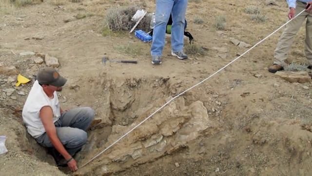 ТОП 10 самых больших подводных монстров в мире смотреть онлайн