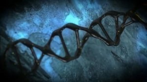 ВСЁ О ПРЕДАЛИЕНЕ | ЧУЖЕХИЩНИК | ВИДЕОСБОРНИК