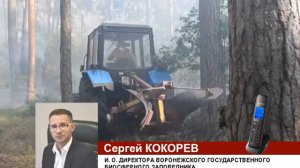 Пожар в воронежском биосферном заповеднике