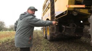 Уборка урожая в Борисовском районе