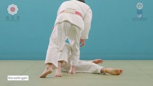 小内刈 / Ko-uchi-gari