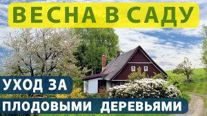 Работы в марте. Плодовые деревья / радиопередача от 21 03 22