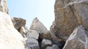 Я снимаю на Nikon D5600/ Примеры фото и видеосъемки