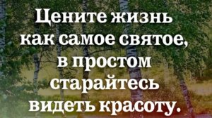 Цените жизнь. Мудрые цитаты. Музыка Андрея Обидина.