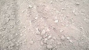 Настройка картофелесажалки.