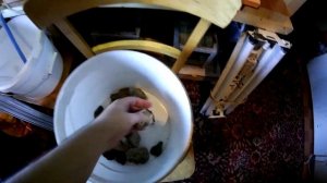 Запуск аквариума 100л, ч.1 Грунт и вода(Аква Хижина, выпуск 22)