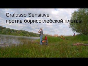 Cralusso Sensitive против борисоглебской плотвы