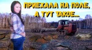 Тракторист показал где копать на поле. Поиск сокровищ. Коп с металлоискателем. В поисках с Дашей