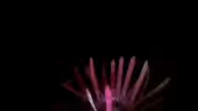 Цветы из пластиковых бутылок! Очень просто и очень красиво! смотреть онлайн