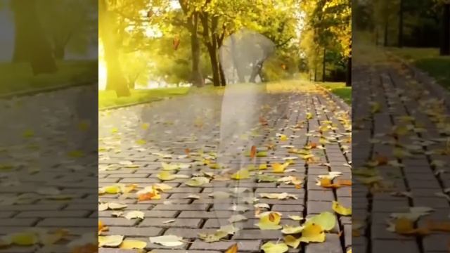 Листья желтые... "Самоцветы" смотреть онлайн