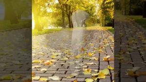 Листья желтые... "Самоцветы"