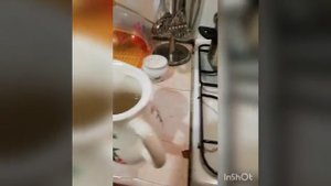 Рыба в сотейнике iCook с рисом на гарнир