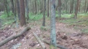 поездка в заповедник за грибами и ягодами, собираем грибы, собираем ягоды