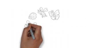 как нарисовать насекомых, how to draw insects, cómo dibujar los insectos