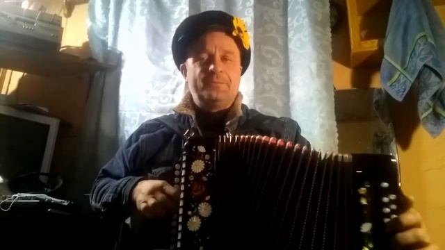 "Что то позабросил я гармонь", (хорошая песня под гармонь). Поёт Николай Кудрявцев.