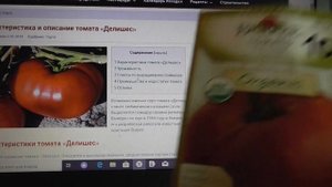 ЕЩЕ ОДНО ОТКРЫТИЕ ЭТОГО ГОДА - ТОМАТ ДЕЛИШЕС. Ольга Чернова.