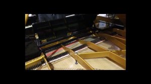 Toccata and Fugue in D Minor, J.S. Bach on Bosendorfer 225 Grand Piano at Sherwood Phoenix Pianos