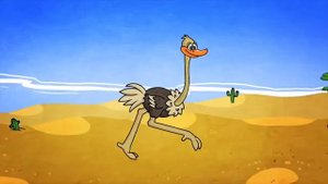 31  Почему страус прячет голову в песок  HD merci