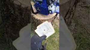 holzfforma g366 отзыв и обзор